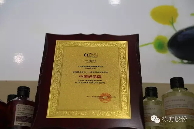 科技引領(lǐng)美麗▏棟方股份榮獲“中國好品牌獎(jiǎng)”！