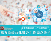 探索有效途徑，打造新型能力——棟方股份兩化融合工作亮點(diǎn)紛呈