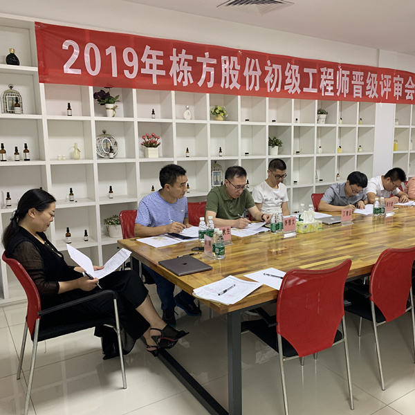 匠心筑夢，人才培養(yǎng)丨棟方股份2019初級工程師晉級評審會順利舉行