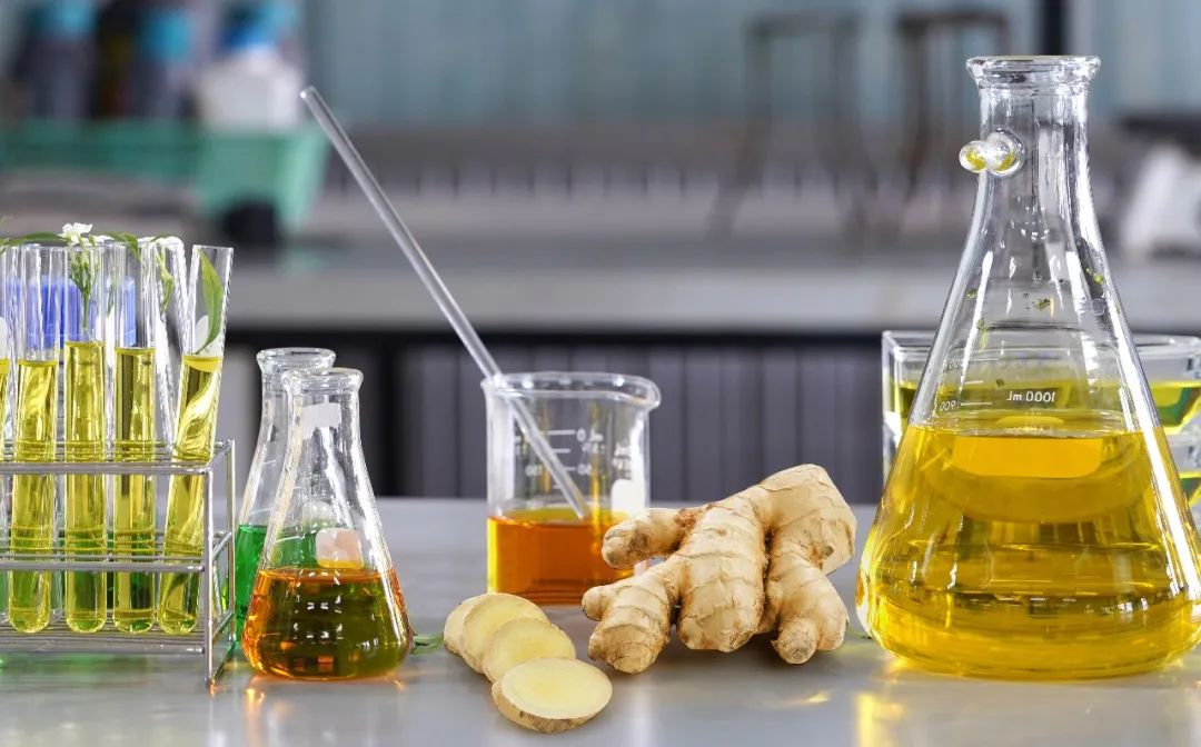 棟方股份榮獲2021年廣東省科技進步獎，科研創(chuàng)新實力再獲認可！