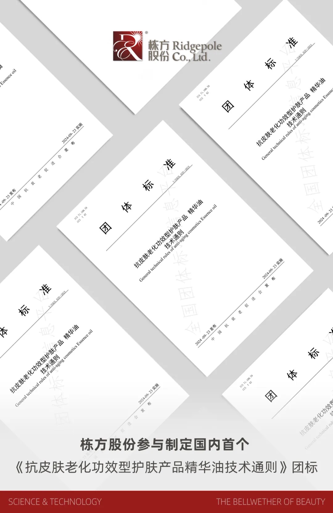 標準引領丨國內首個《抗皮膚老化功效型護膚產(chǎn)品精華油技術通則》團體標準正式發(fā)布